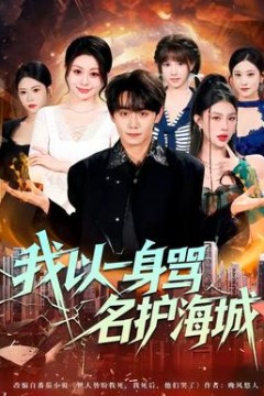 我以一身骂名护海城背景