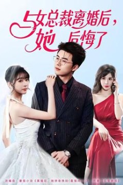 与女总裁离婚后，她后悔了背景