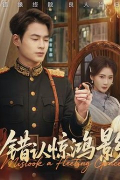 错认惊鸿影背景