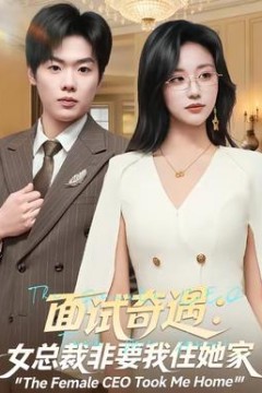面试奇遇：女总裁非要我住她家背景
