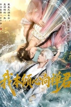 我本倾心向禅君背景