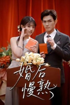 婚后慢熟背景