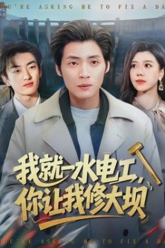 我就一水电工，你让我修大坝背景