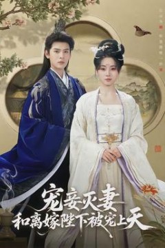 宠妾灭妻，和离嫁陛下被宠上天背景