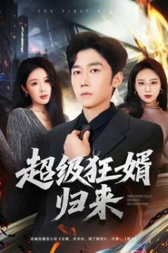 超级狂婿归来背景