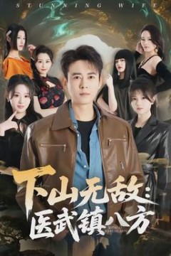 下山无敌：医武镇八方背景