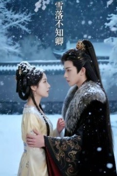 雪落不知卿背景