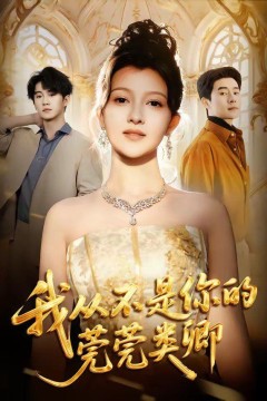 我从不是你的莞莞类卿背景