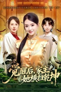 觉醒后，家主她横扫乾坤背景