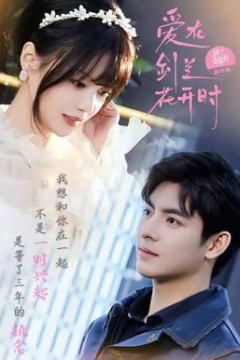 爱在剑兰花开时背景