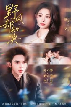 野风却知泱背景