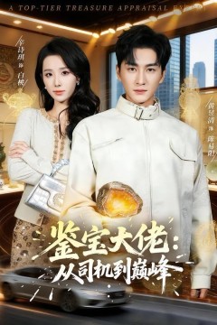 鉴宝大佬：从司机到巅峰背景