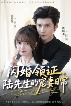 闪婚领证，陆先生的宠妻日常背景