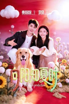 向阳知夏时背景