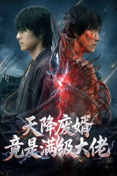 天降废婿竟是满级大佬