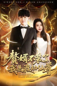 赘婿不装了，我是渡劫仙尊背景