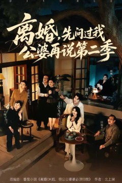 离婚，先问过我公婆再说第二季背景