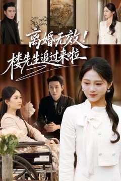 离婚无效！楼先生追过来啦背景