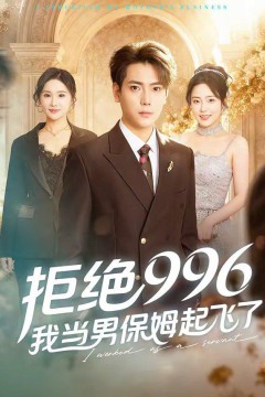 拒绝996，我当男保姆起飞了背景
