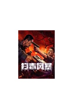 扫毒风暴