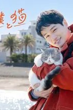 旅行和我和猫背景