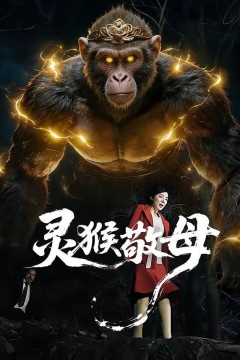 灵猴敬母背景