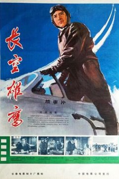 长空雄鹰