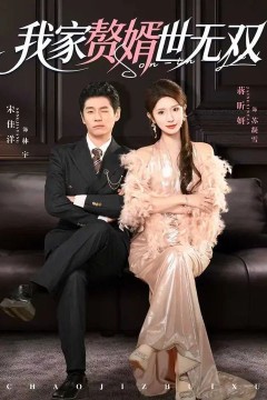 我家赘婿世无双背景