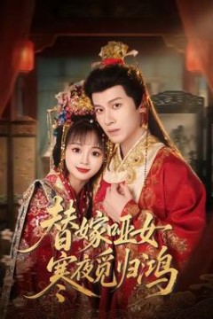 替嫁哑女寒夜觅归鸿