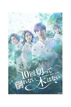 没有砍十次还不倒的树背景