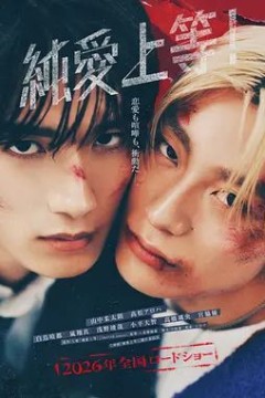 纯爱上等