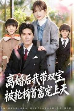 离婚后我带双宝被轮椅首富宠上天背景